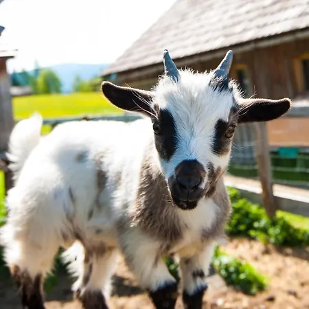 Oerglwirt Ferienwelt - Post Oerglwirt 3*
