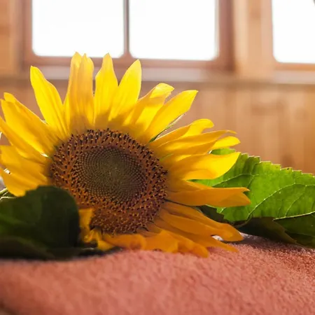 Hotel Oerglwirt Ferienwelt - Post Oerglwirt